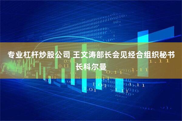 专业杠杆炒股公司 王文涛部长会见经合组织秘书长科尔曼